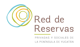 rbkk-aliados-red-de-reservas-privadas-y-sociales-de-la-peninsula-de-yucatan--logo